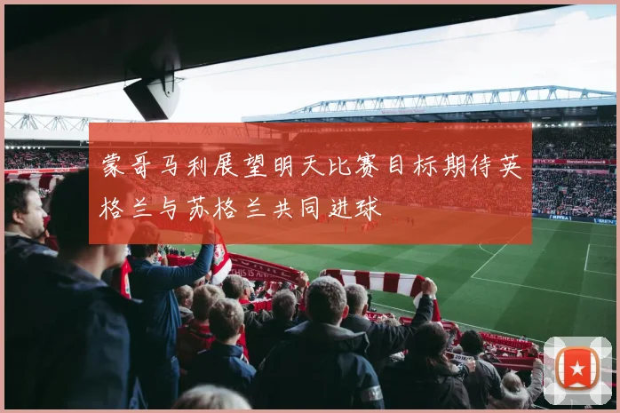蒙哥马利展望明天比赛目标期待英格兰与苏格兰共同进球